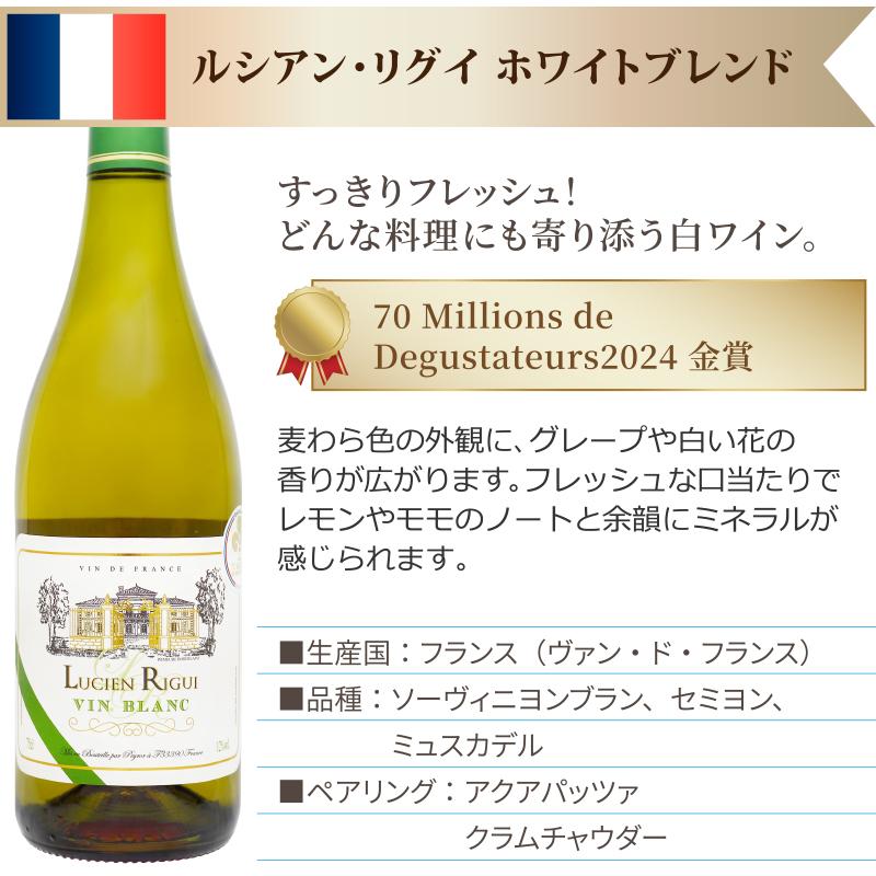 ポイント10%付与中】ソムリエ厳選 世界の白ワイン 飲み比べ 10か国 10