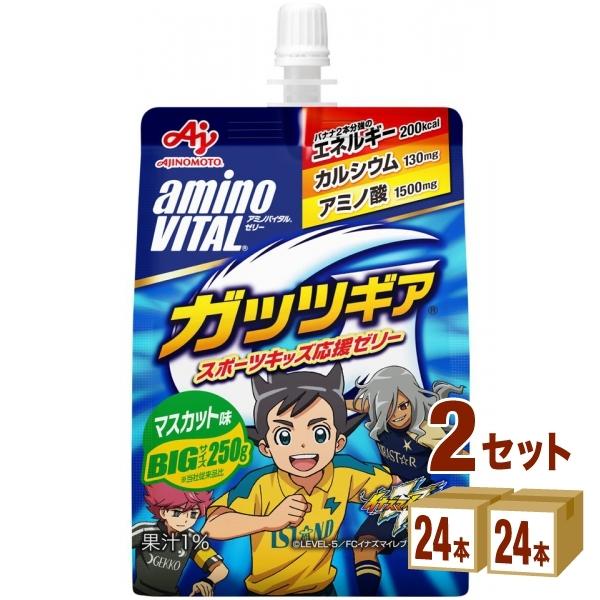 味の素 アミノバイタル ゼリー ドリンク ガッツギア マスカット味 250g 2ケース(48本)｜izmic-ec