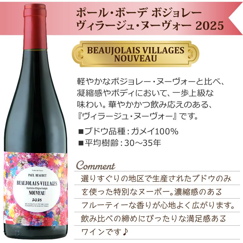 ボジョレー ヌーボー 2025年11月20日解禁 厳選飲み比べ3本セット