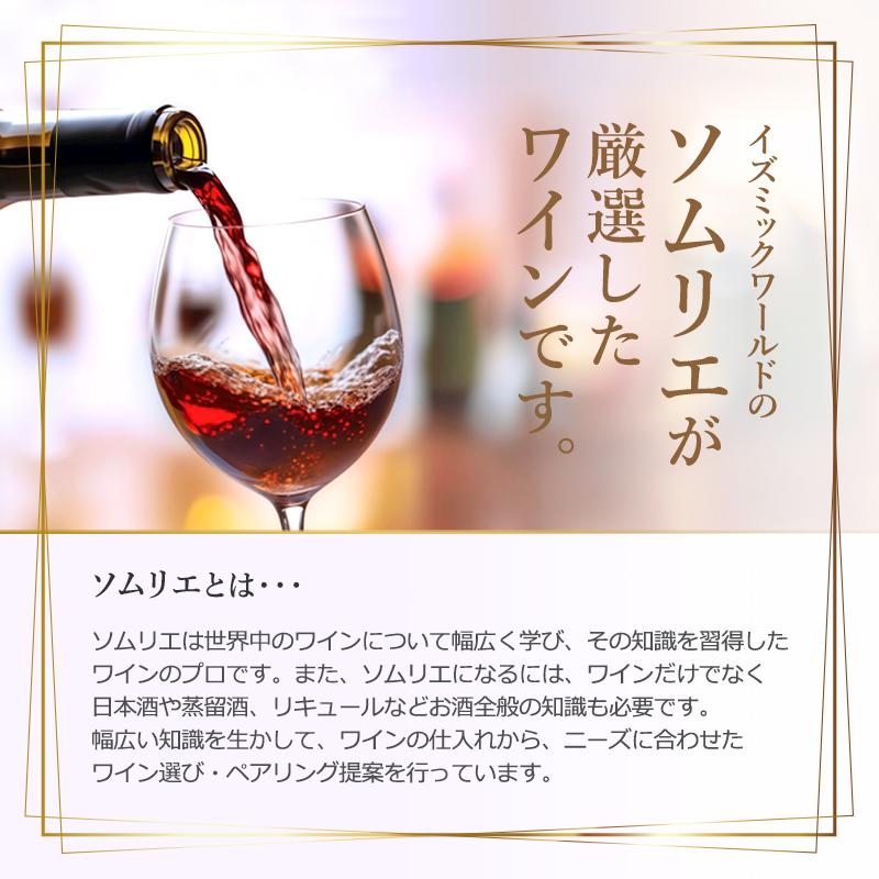 ボジョレー ヌーボー 2025年11月20日解禁 ハーフボトル 375ml 厳選飲み