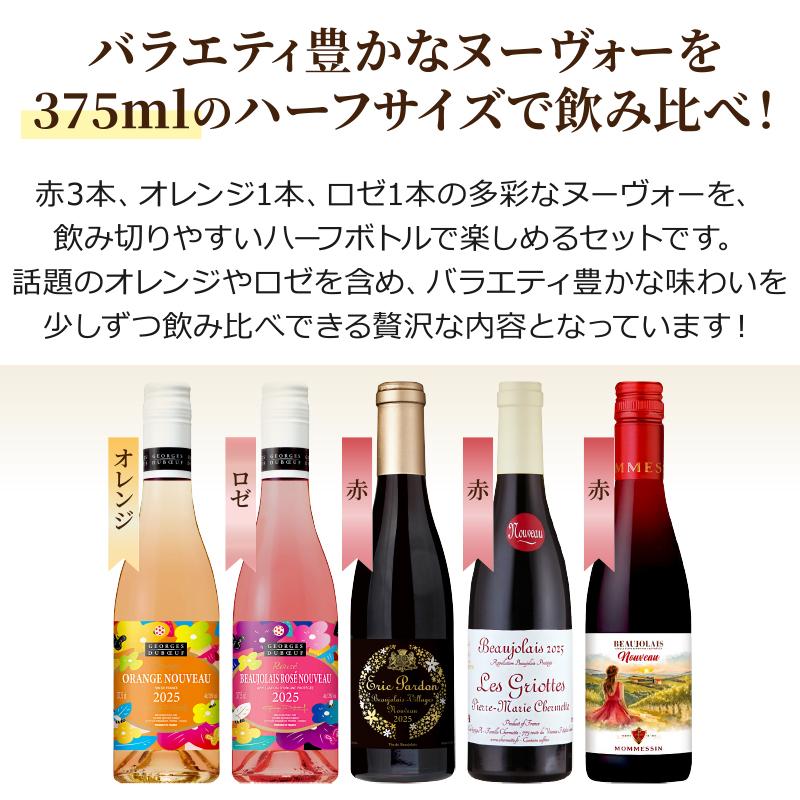 ボジョレー ヌーボー 2025年11月20日解禁 ハーフボトル 375ml 厳選飲み