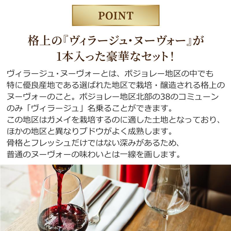 ボジョレー ヌーボー 2025年11月20日解禁 ハーフボトル 375ml 厳選飲み