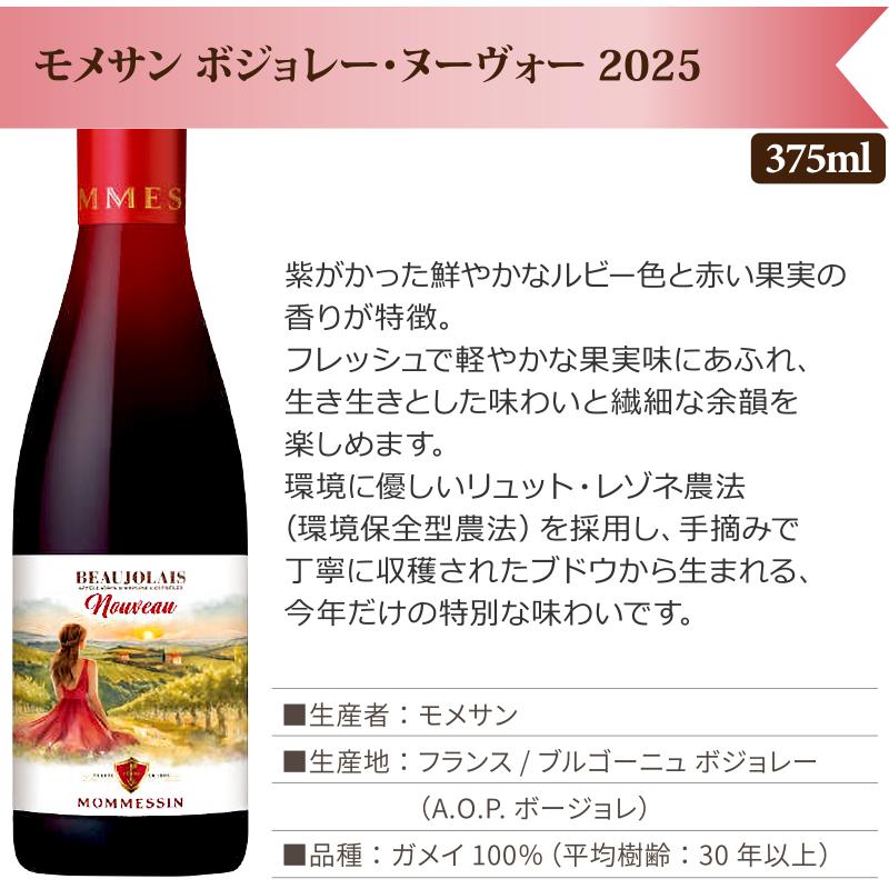 ボジョレー ヌーボー 2025年11月20日解禁 ハーフボトル 375ml 厳選飲み