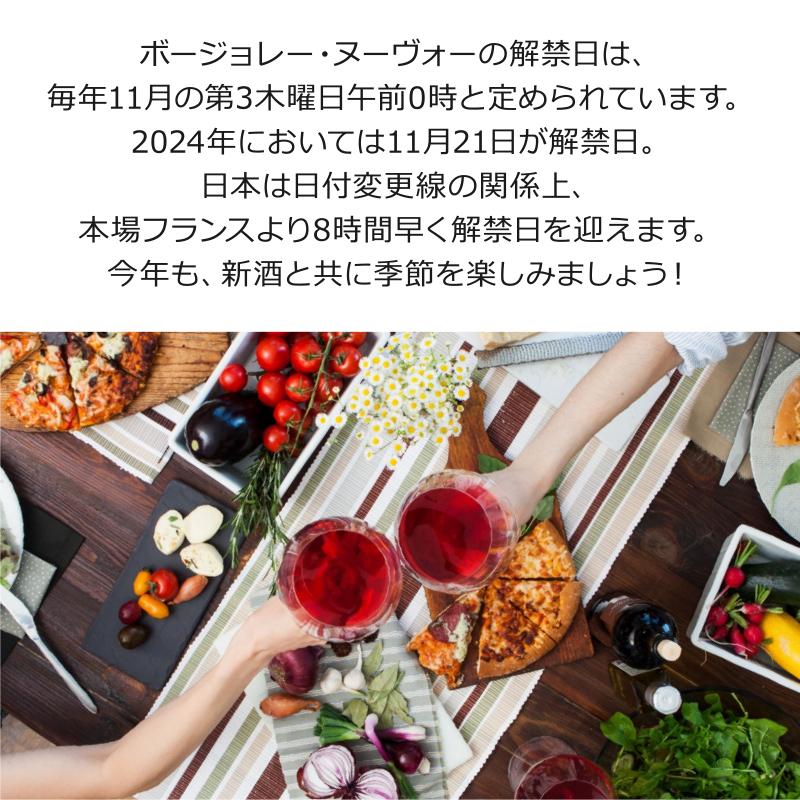 ボジョレー ヌーボー 2025年11月20日解禁 ハーフボトル 375ml 厳選飲み