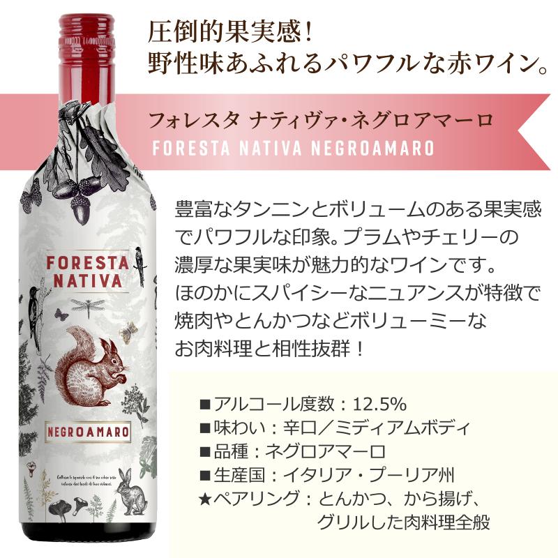 イタリア旅するワイン飲み比べ3本セット スプマンテ スパークリング