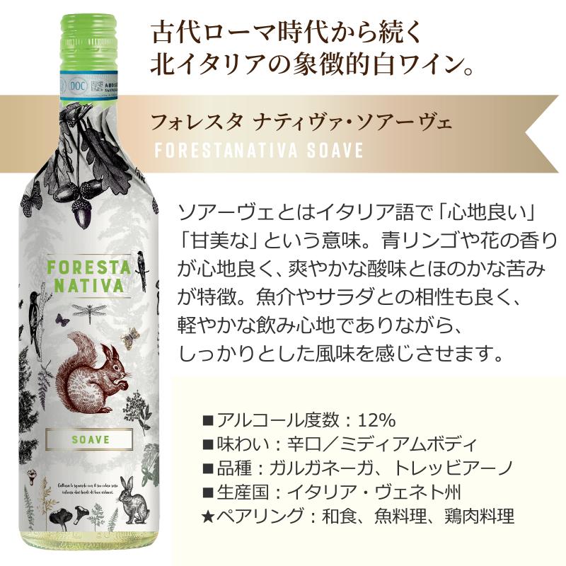 イタリア旅するワイン飲み比べ3本セット スプマンテ スパークリング