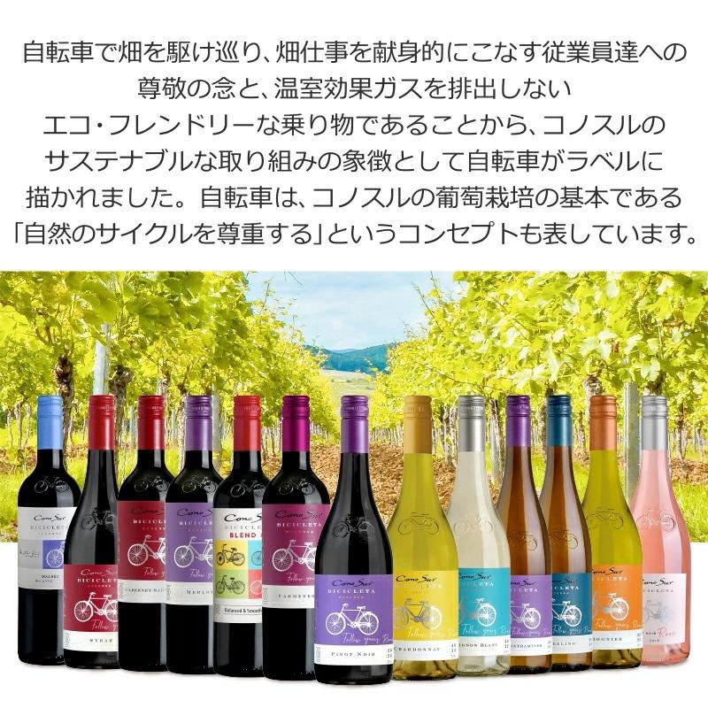 スマイル コノスル ビシクレタ 選べる 12本 飲み比べ 赤ワイン 白