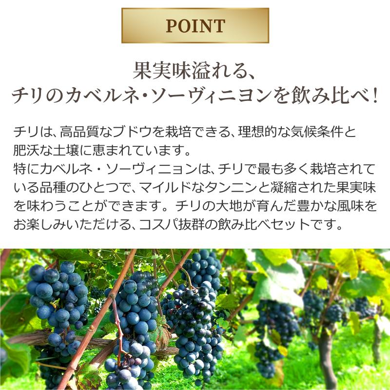 ワイン6本セット ワインセット 赤 チリワイン（カベルネソーヴィニヨン主体） 飲み比べ