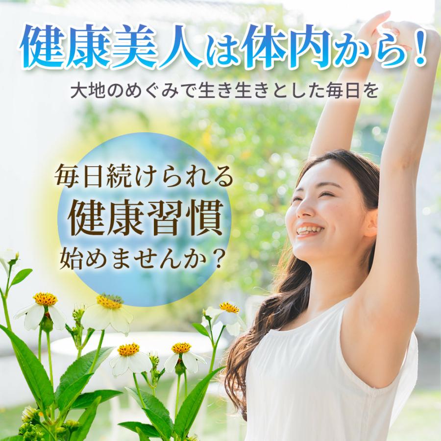 今月限定価格　ビデンスピローサ健康茶3箱 ビデンスピローサ 健康茶: ブランドから探す / ナリスオンライン