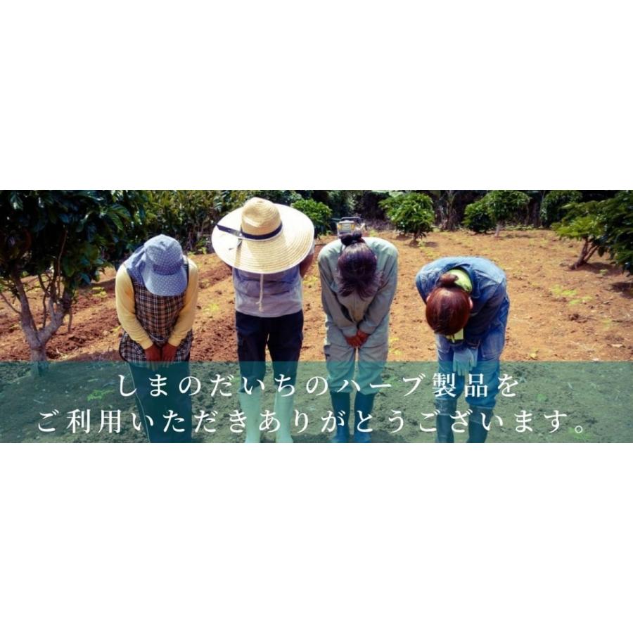 ひろりん出品（他の方は購入をご遠慮ください） 与論島 自社管理農園 ビデンス・ピローサ サプリメント 60粒 約2か月