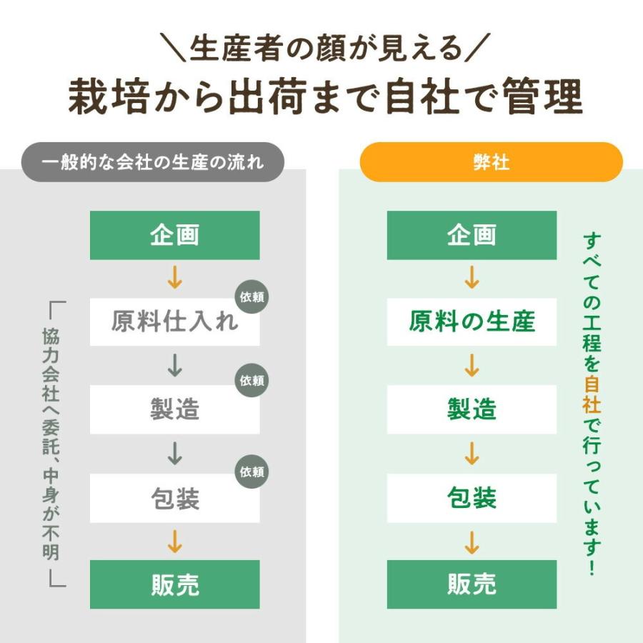 【管理栄養士監修】国産フキノトウのお茶　　蕗桑緑茶 60包 ふきのとう 桑の葉 緑茶 ブレンドティー ティーバッグ｜izu-shimanodaichi｜08