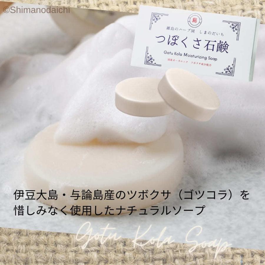 国産つぼくさ石鹸 80g（40g×2個入） CICA シカ シカエキス 純石鹸 伊豆