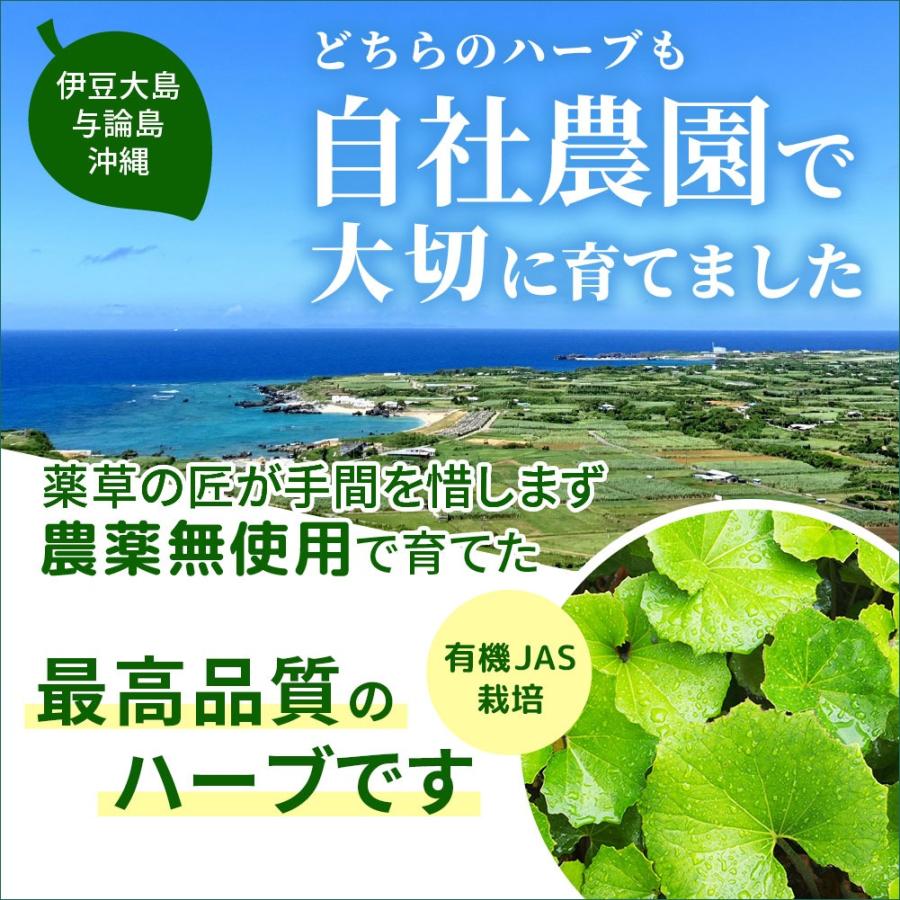 CICAとモリンガの粉末カプセル 2か月分 90粒 純国産 有機栽培原料｜izu-shimanodaichi｜08