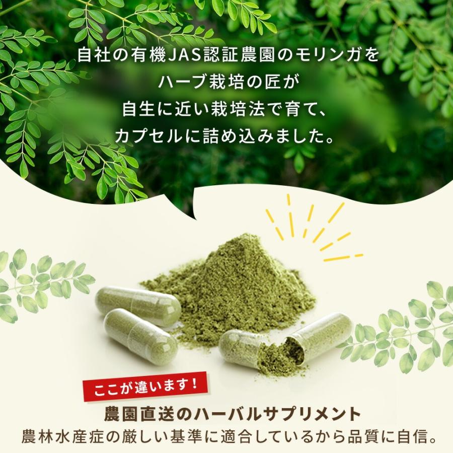 有機JAS 国産 モリンガパウダー カプセル 90個 約2ヵ月分 モリンガ 農園 農薬不使用 モリンガ茶付き 栄養補給｜izu-shimanodaichi｜11
