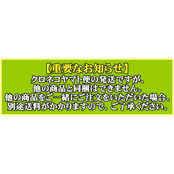 HF40CL　第一電波工業　7MHz帯　高能率センターローディング　モービルアンテナ　HF-40CL（他の商品と同梱不可）｜izu-tyokkura｜02