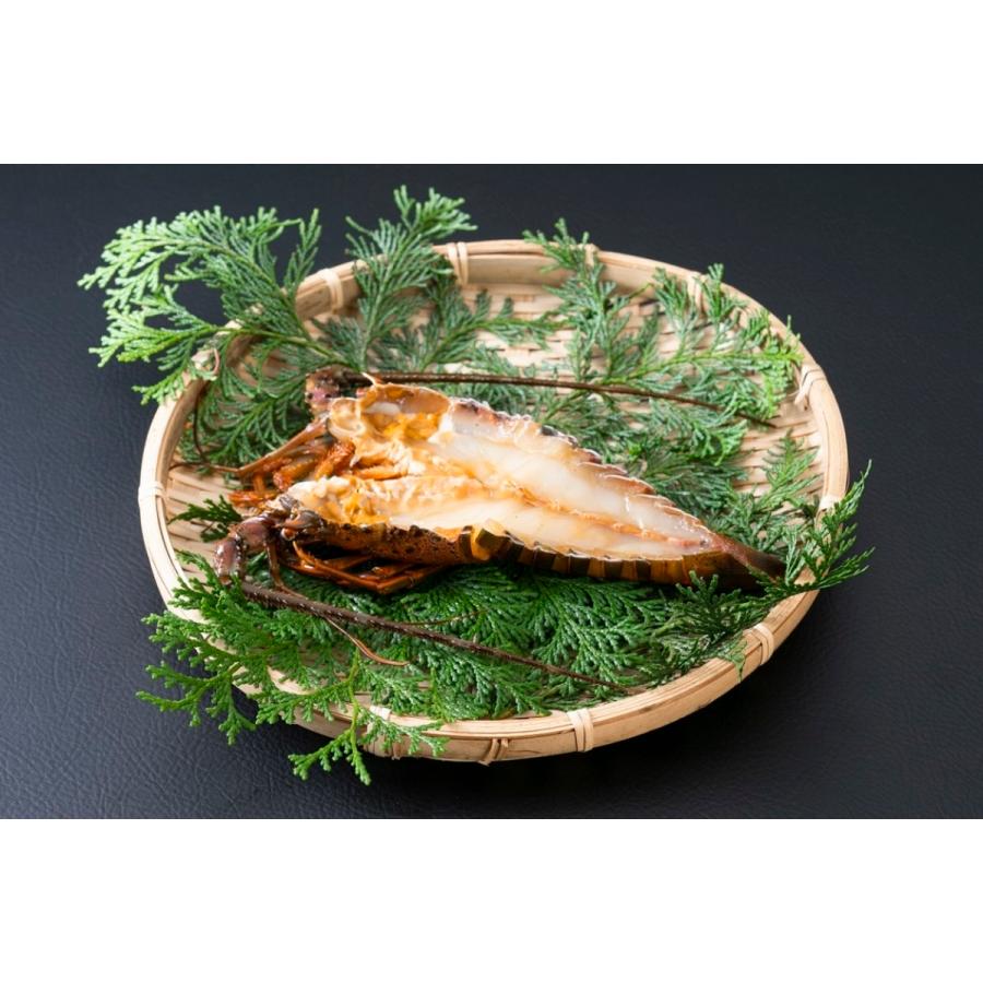 入荷中 伊勢海老ひもの 甘しょうゆ味 Cisama Sc Gov Br