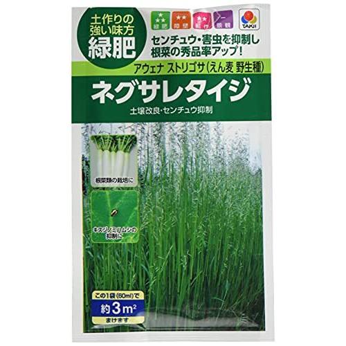 半額品 緑肥 タキイ種苗 在庫処分 ネグサレタイジ えん麦