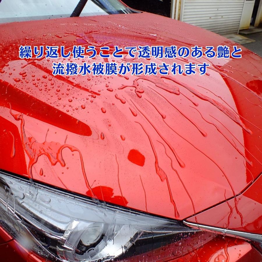 イズミプロテクトコーティング　ガラス系コーティング剤　ボディガラスコーティング施工車のメンテナンスに最適　プロの施工マニュアル付き（お得なセット商品） |  | 10