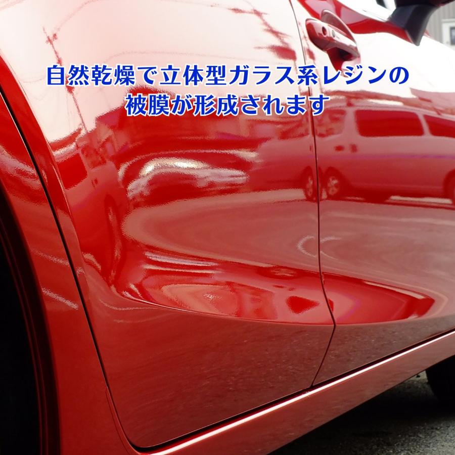 イズミプロテクトコーティング　ガラス系コーティング剤　ボディガラスコーティング施工車のメンテナンスに最適　プロの施工マニュアル付き（お得なセット商品） |  | 11