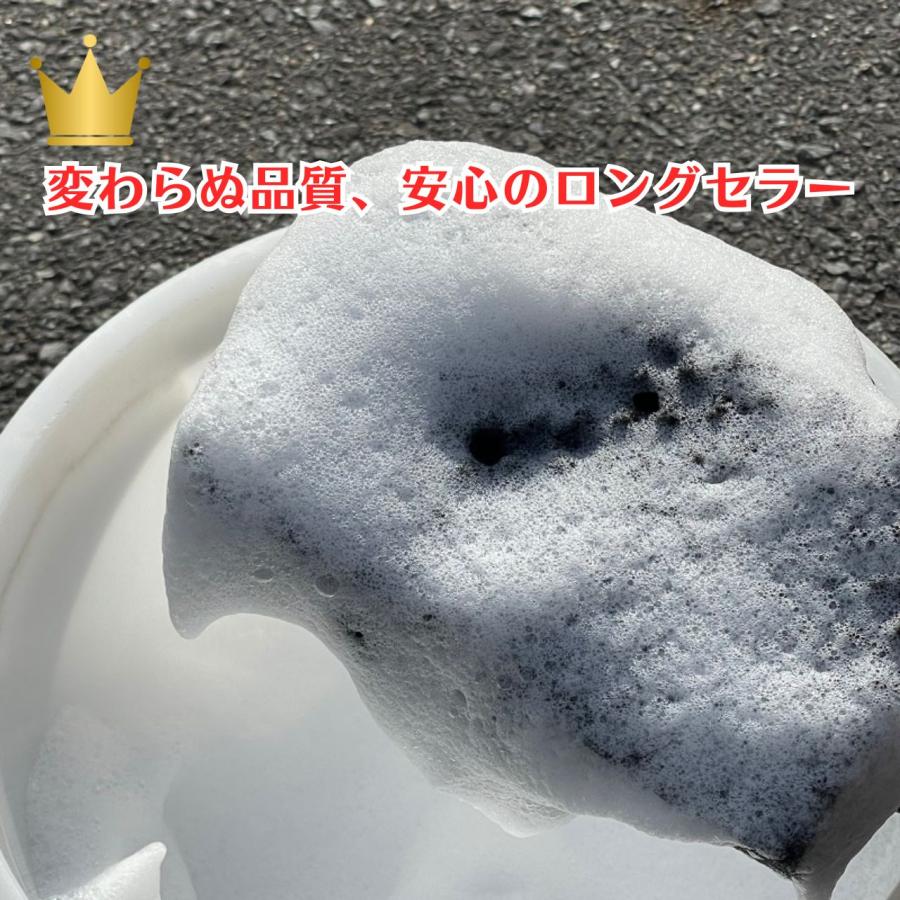イズミカーシャンプー　ガラスコーティング施工車専用　カーシャンプー　スポンジ・クロスとプロの施工マニュアル付（お得なセット商品） |  | 08