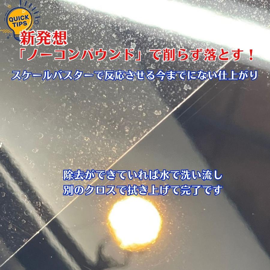イズミスケールバスター　スケール除去剤　ウロコ取り　ウォータースポット除去　洗車用品　洗車グッズ |  | 09