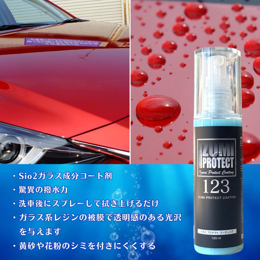 イズミメンテナンスシリーズ　おすす５点セット　シャンプー 撥水コーティング タイヤワックス スケール除去剤 水垢クリーナー 洗車用品 洗車セット |  | 06