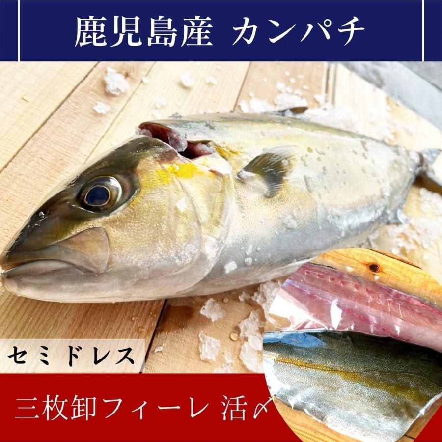 鹿児島県産カンパチ 約3 5kg 三枚卸 フィーレ 活〆 真空包装 Kp003 出水田鮮魚 通販 Yahoo ショッピング