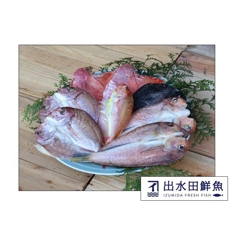 干物セット 創業４０年の魚屋が厳選した 鯛の干物セット 無添加 熟成乾燥 Set003 出水田鮮魚 通販 Yahoo ショッピング