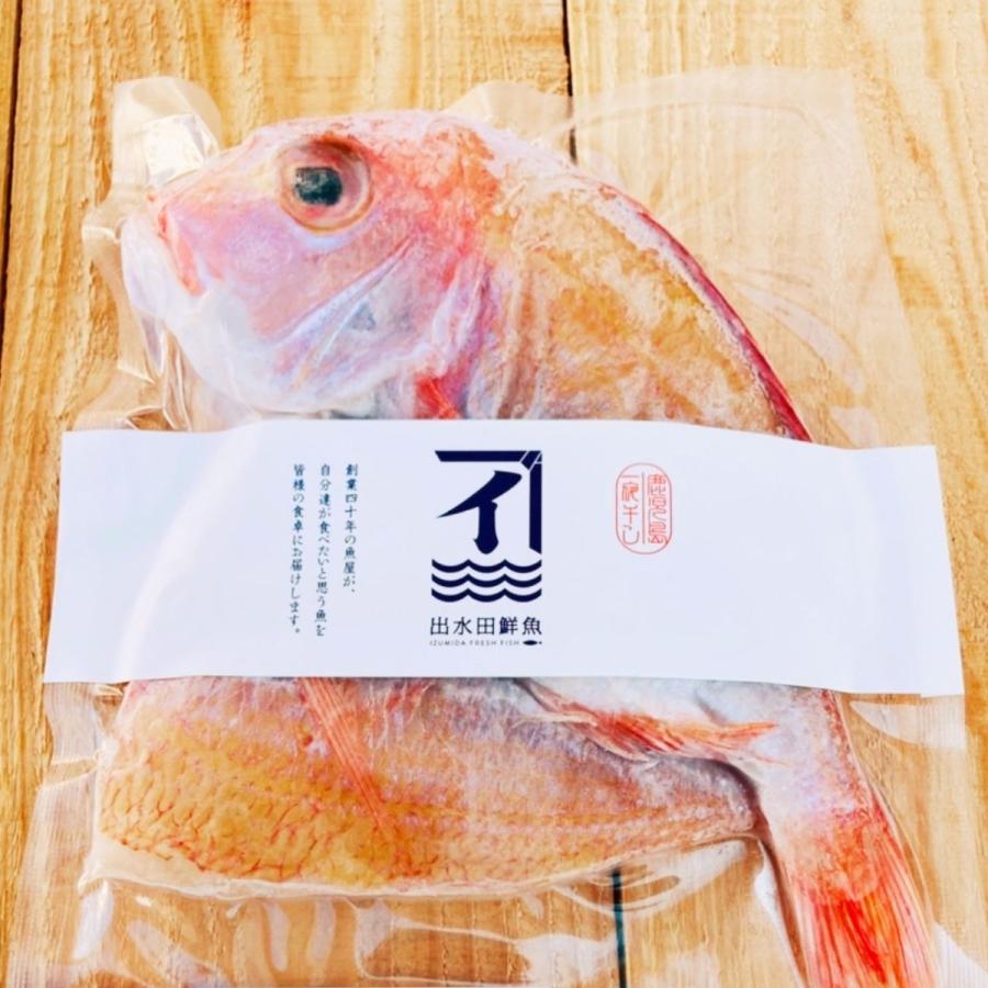 創業４５年の魚屋が厳選した鹿児島県産 レンコ鯛の一夜干し Ta002 出水田鮮魚 通販 Yahoo ショッピング