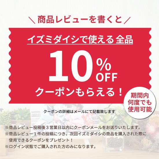 Amazon Co Jp 2l アルバム
