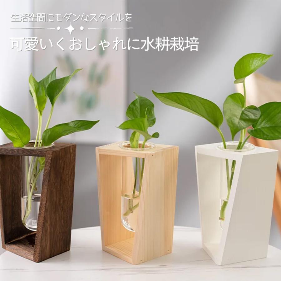 花瓶 おしゃれ ガラス 水耕栽培 ポット かわいい インテリア 室内 屋内