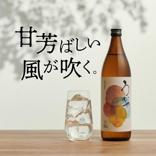 1/11限定 全品P3倍 焼酎 麦焼酎 うかぜ 25度 1800ml × 6本 鹿児島県
