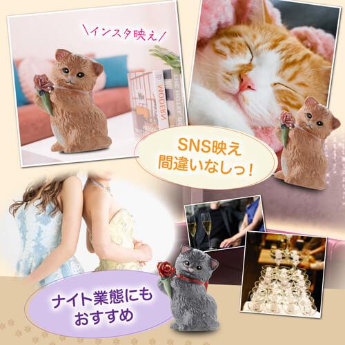 訳あり】 送料無料 正規品 梅酒 箱付き マンチカン ウィズブーケ