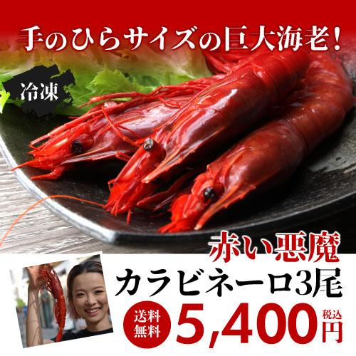 送料無料 海老バルorb 高級食材 赤い悪魔 カラビネーロ 3尾 海老 エビ クール代込 産地直送 Orb 産直 日本のsake 和泉清 Paypayモール店 通販 Paypayモール