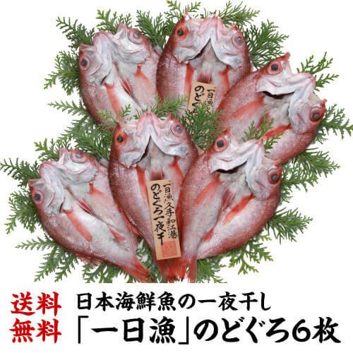 送料無料 (一日漁)のどぐろ 一夜干し 6枚 約1,400g のどくろ あかむつ 干物 ひもの 焼魚 家呑み 肴 高級魚 贈り物 ギフト冷凍 島根 岡富 (産直)｜izumise