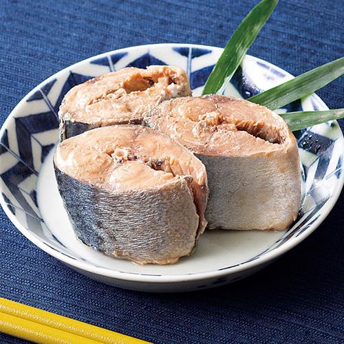 極洋 さば水煮 160g 48缶 国産 キョクヨー 鯖水煮 サバ水煮 RSL : 日本