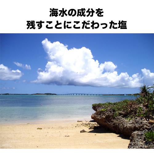 雪塩 120g×10袋 パウダータイプ スタンドパック 密封チャック付き 賞味