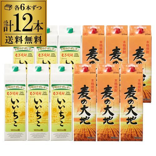 送料無料 麦焼酎飲み比べ 12本セット 麦の大地6本 いいちこ6本 パック