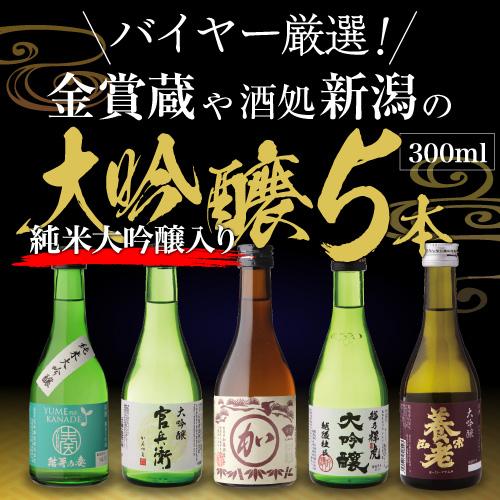 日本酒 飲み比べ ギフト セット 金賞蔵 大吟醸 300ml 5本 送料無料