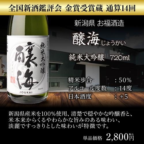 6/28限定 全品P2倍 日本酒 飲み比べ 酒 純米大吟醸 送料無料 全国10蔵