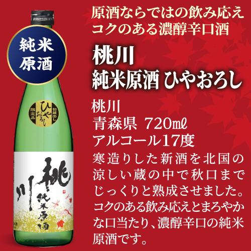 2/25限定 全品P3倍 日本酒 ひやおろし 720ml×5本セット 送料無料 名城