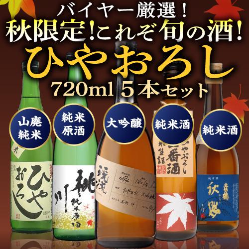 1/25限定 全品P3倍 日本酒 ひやおろし 720ml×5本セット 送料無料 名城