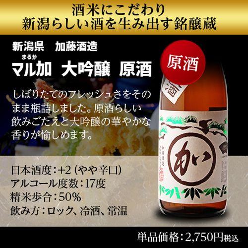 4/25限定 全品P3倍 日本酒 飲み比べセット 全国10蔵 大吟醸 4/25限定 全品P3倍 日本酒 飲み比べセット 全国10蔵 大吟醸
