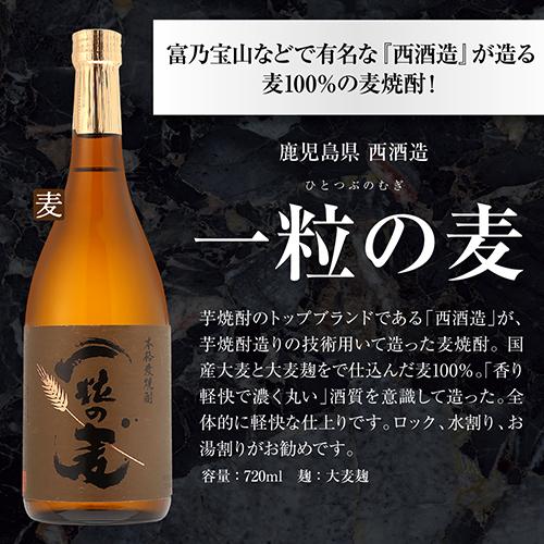 送料無料 九州6蔵 芋麦 飲み比べセット 720ml 6本 芋焼酎 麦焼酎