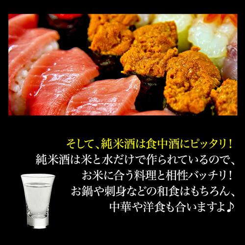 送料無料 全国10蔵 純米酒 720ml×10本セット 飲み比べ 詰め合わせ
