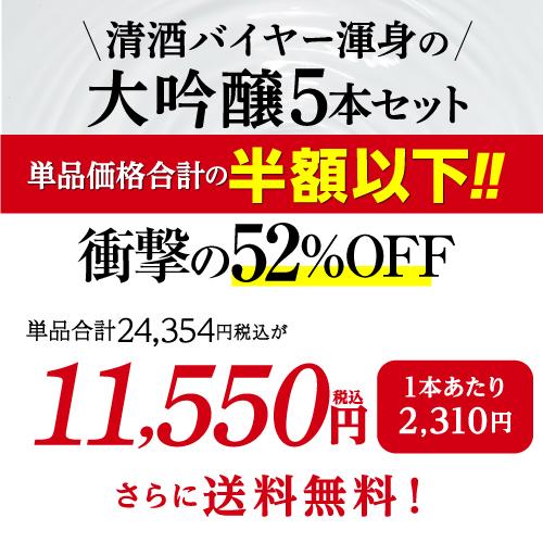 1/30〜2/1限定 全品P3倍 日本酒セット 大吟醸 飲み比べ 1800ml 5本