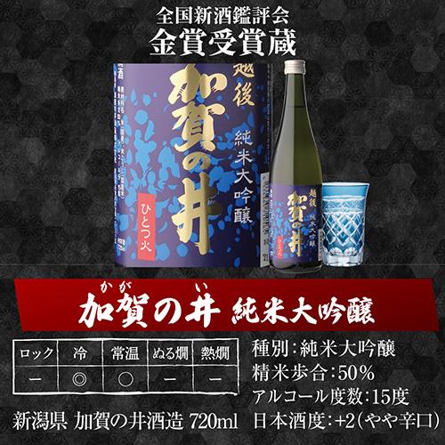 1/1〜5限定 全品P3倍 日本酒 セット 大吟醸 飲み比べ 720ml 5本 ギフト