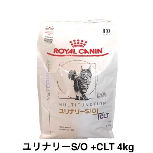 ロイヤルカナン 猫 ユリナリーS/O +CLT 4kg : 3522-000040 : 和泉家 
