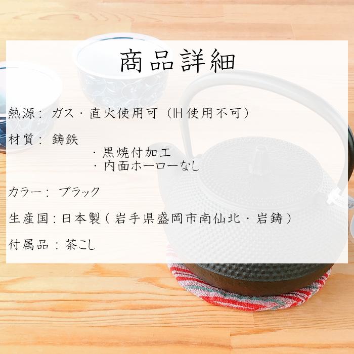 南部鉄器 岩鋳 Iwachu 鉄瓶兼用急須3型 新アラレ※ラッピング不可