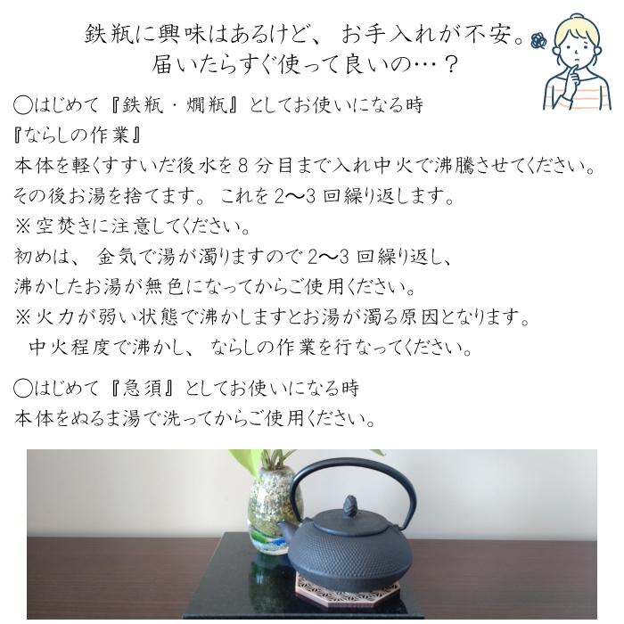 岩鋳 南部鉄器 Iwachu 鉄瓶兼用急須 5型新アラレ 黒焼付 0.65L 岩鋳 南部鉄器 Iwachu 鉄瓶兼用急須 5型新アラレ 黒焼付 0.65L